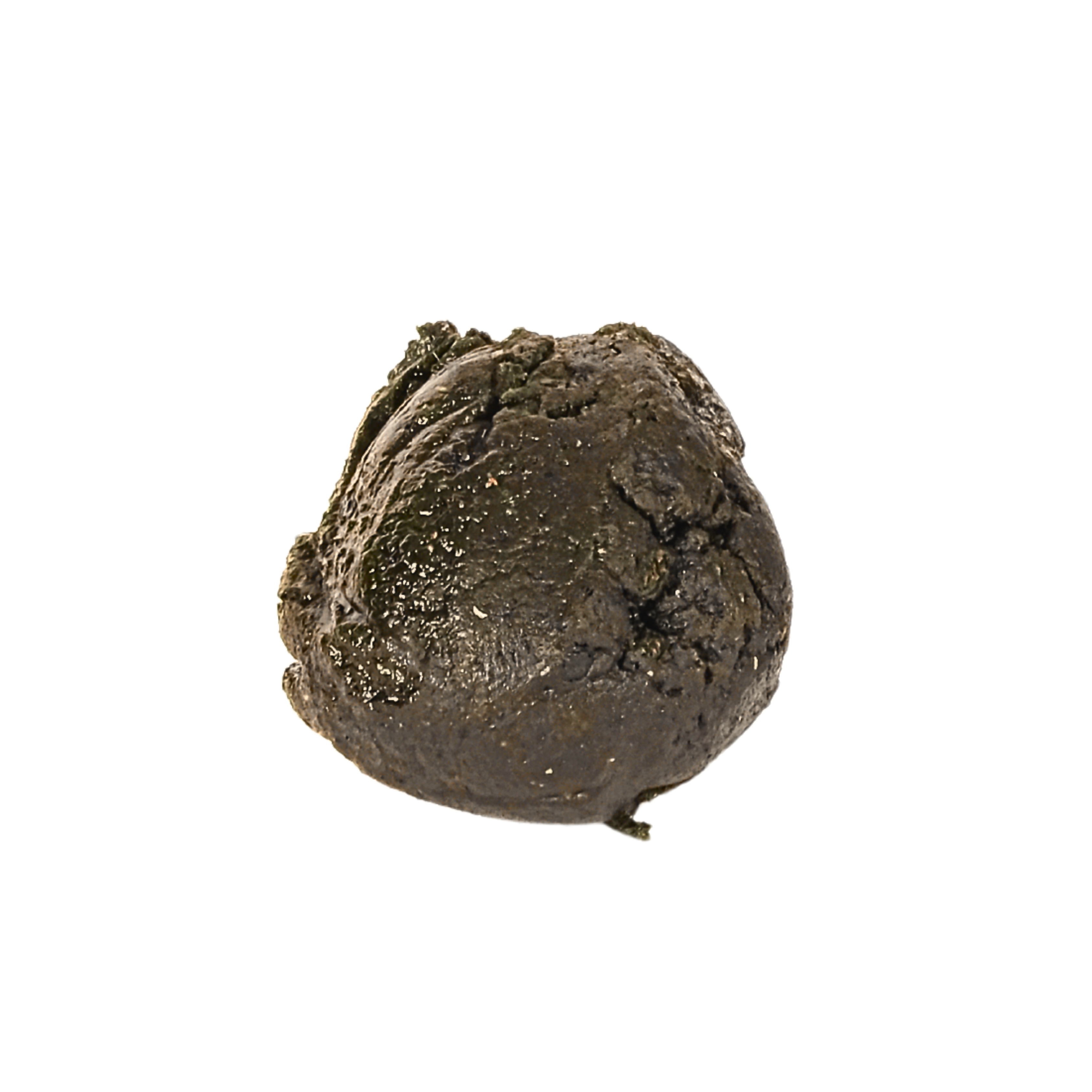 Original Sudanese Dilka